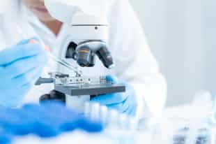 Visit the Edward O. Wilson state-of-the-art lab