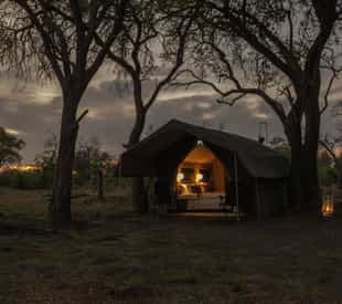 Experience a luxury roving camp in the Delta