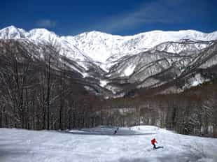 Ski world class powder in Hakuba's alpine paradise