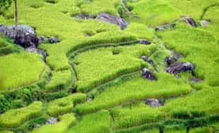 Explore the rocky terraces of Mount Sesean