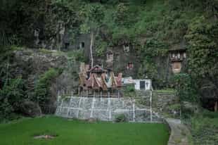 Visit the cliff cemetery of Kuburan Batu Lemo