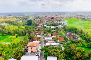 Explore the lively town of Ubud