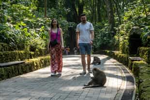 Take a stroll through the Monkey Forest in Ubud