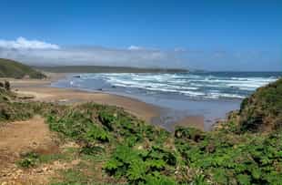 Enjoy Chepu River Navigation & trekking