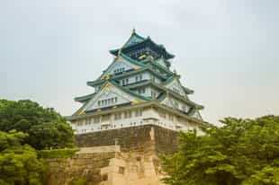 Visit the Osaka Castle