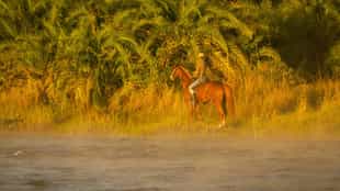 Horseback safari in Victoria Falls, Livingstone