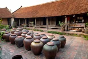 Explore Duong Lam Ancient Village & Mia Pagoda