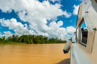 Take a boat ride along Don Diego river 