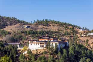 Visit the Simtokha Dzong castle monastery