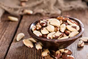 Visit a Brazil Nut camp