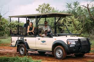 Go on a game drive in Vic Falls, Zimbabwe