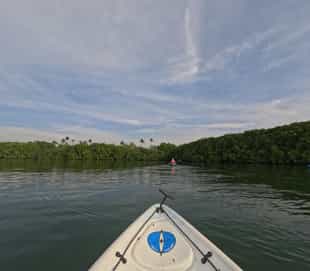 Kayak through the mangroves of Havelock