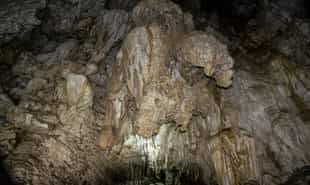 Explore Limestone Caves of Baratang Island 