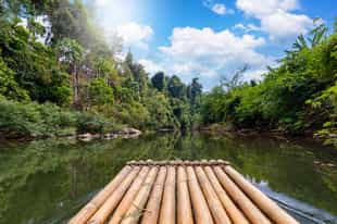 Explore Khao Sok National Park on a bamboo raft 