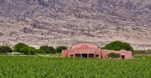 Try the Bodega El Cese winery experience