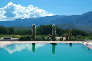 Try one of Argentina's old wineries, Bodega Colome