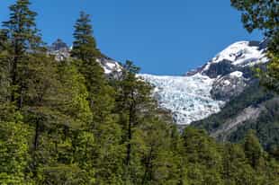 Cycle past the Yelcho glacier & native forests
