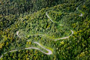 Explore the Queulat National Park scenery on a bike 