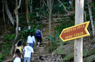 Hike up the Morro da Urca Trail, Rio de Janerio