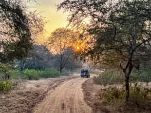 Go on a jeep drive in Rajasthan's countryside