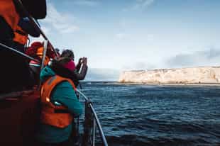 Visit many islets on a cruise from Punta Arenas