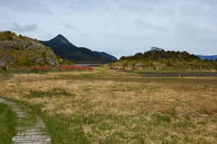 Explore Wulaia Bay on a hike