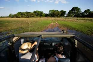 Observe alligators in the night on a 4x4 tour