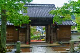 Visit the historic Shuzen-ji Temple