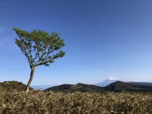 Hike the trails of Mount Daruma