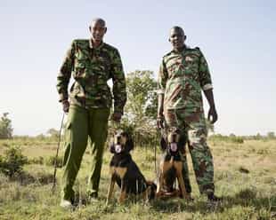Learn about the K9 anti-poaching team in Laikipia
