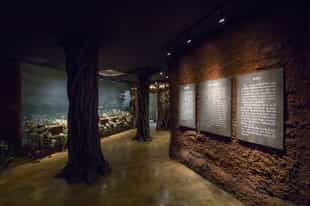Visit the Opium Museum in the Golden triangle