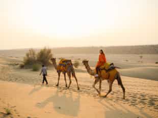 Enjoy Camel ride on the sand dunes