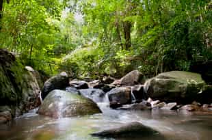Take a rain forest Hike to Bang Pae Waterfall