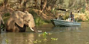 Float down the Zambezi on a sunset boat safari