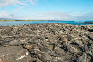 Meet the residents in Fernandina's Espinoza Point 