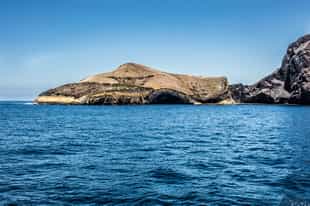 Snorkeling in Punta Vicente, Fernandina Island