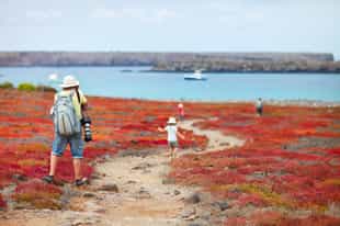 Hike to unique lookouts within the Galapagos