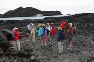Discover the lava fields of the Galapagos islands