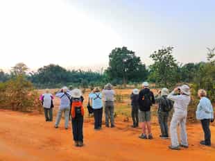 Spot wildlife on a nature walk in Bandhavgarh