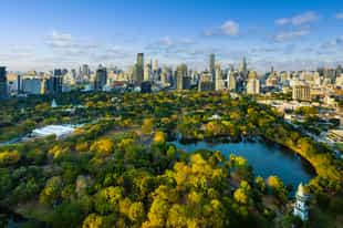 Explore Bangkok’s Green Lung oasis by bike