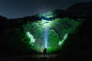 Embark on a Night Safari in Khao Sok Nature Park