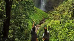 Take a walk in the woods