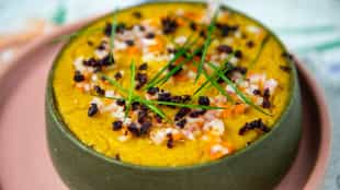 Explore the organic horticulture workshop