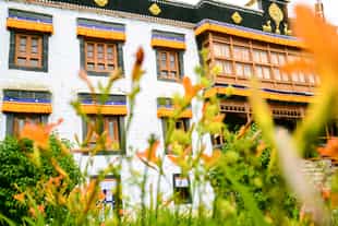 Visit the Sankar Gompa Buddhist monastery