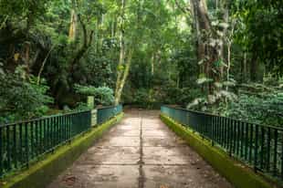 Hike the trails of Tijuca National Park
