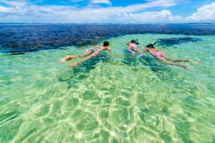 Snorkel in the crystal waters of Ilha Grande