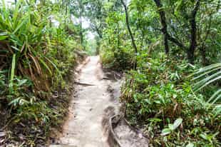 Go on a hike up the trails of Paraty