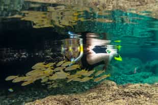 Go snorkelling in Fernando de Noronha