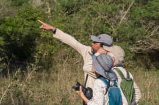 Learn about flora and fauna in Northern Pantanal