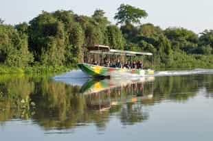 Go on a boating safari in Southern Pantanal 